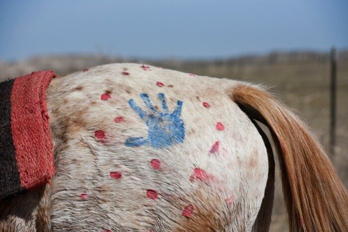 O percurso de cerca de 640 km começa em meados de abril em Green Grass, Dakota do Sul, lar do líder espiritual de todos os Lakota, Arvol Lookinghorse, irmão de Ivan. E terminou em Fort Laramie, Wyoming, onde o tratado foi assinado

