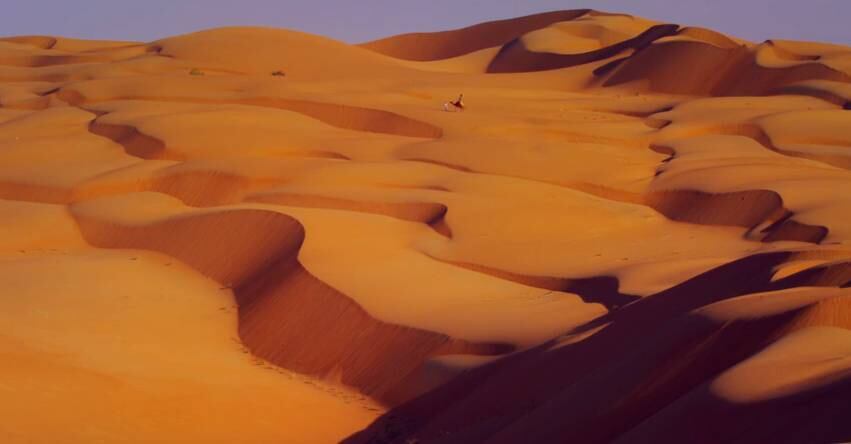 Raffia foi guiado por um morador da região, que checava se as câmeras estavam realmente presas ao corpo do animal e funcionando