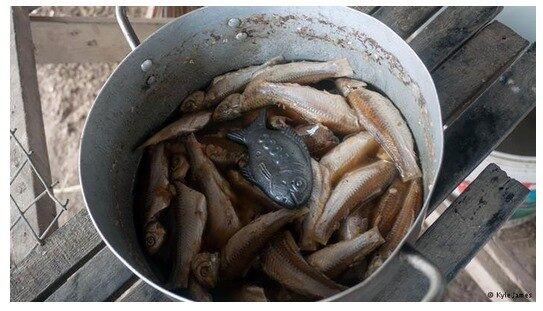 Para usá-lo, basta que o objeto
seja cozinhado junto com a água dos alimentos por dez minutos. Simples assim

 