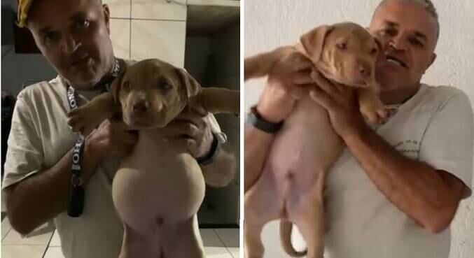 Após o animal desinchar, família comparou o tamanho da barriga dele