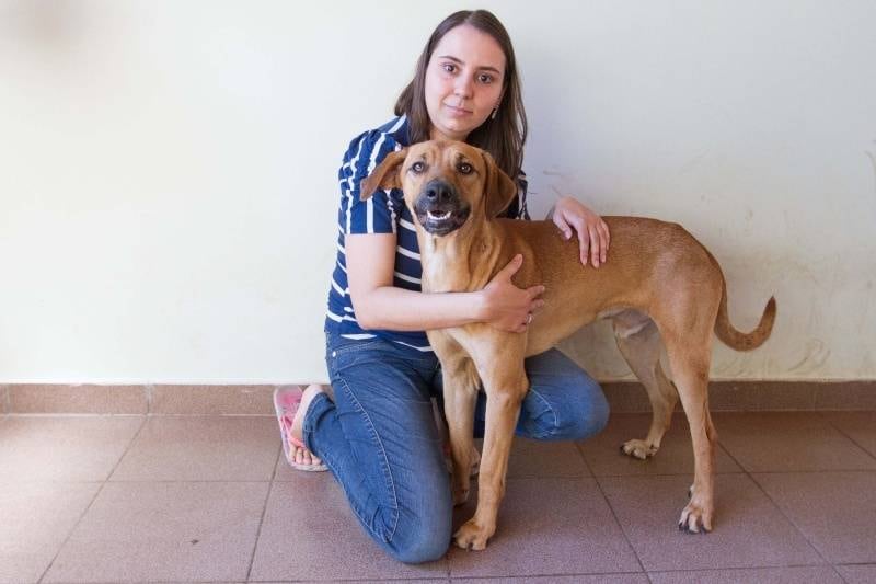 Cão foi baleado em tentativa de assalto em Ribeirão Preto
