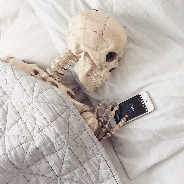 Assim como qualquer um de nós, Skellie também demora para sair da cama. Ela é daquelas que colocam vários alarmes no celular, apertando mil vezes o botão "soneca". Não é fácil começar o dia, né Skellie?