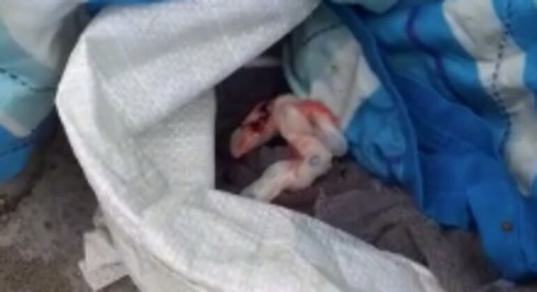 Cordão umbilical e um cobertor no qual ela estava enrolada ficaram no local para perícia