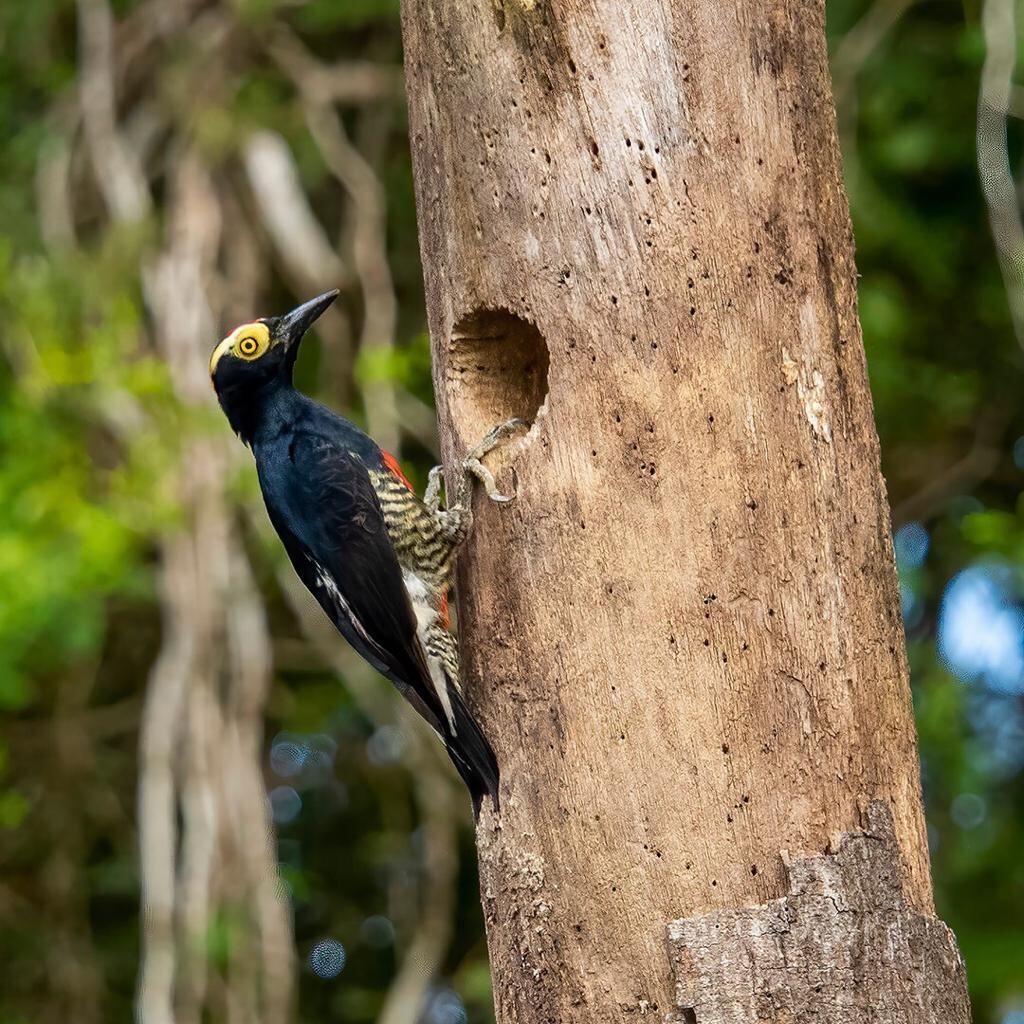 Mostra reúne 16 imagens de fotógrafo espanhol