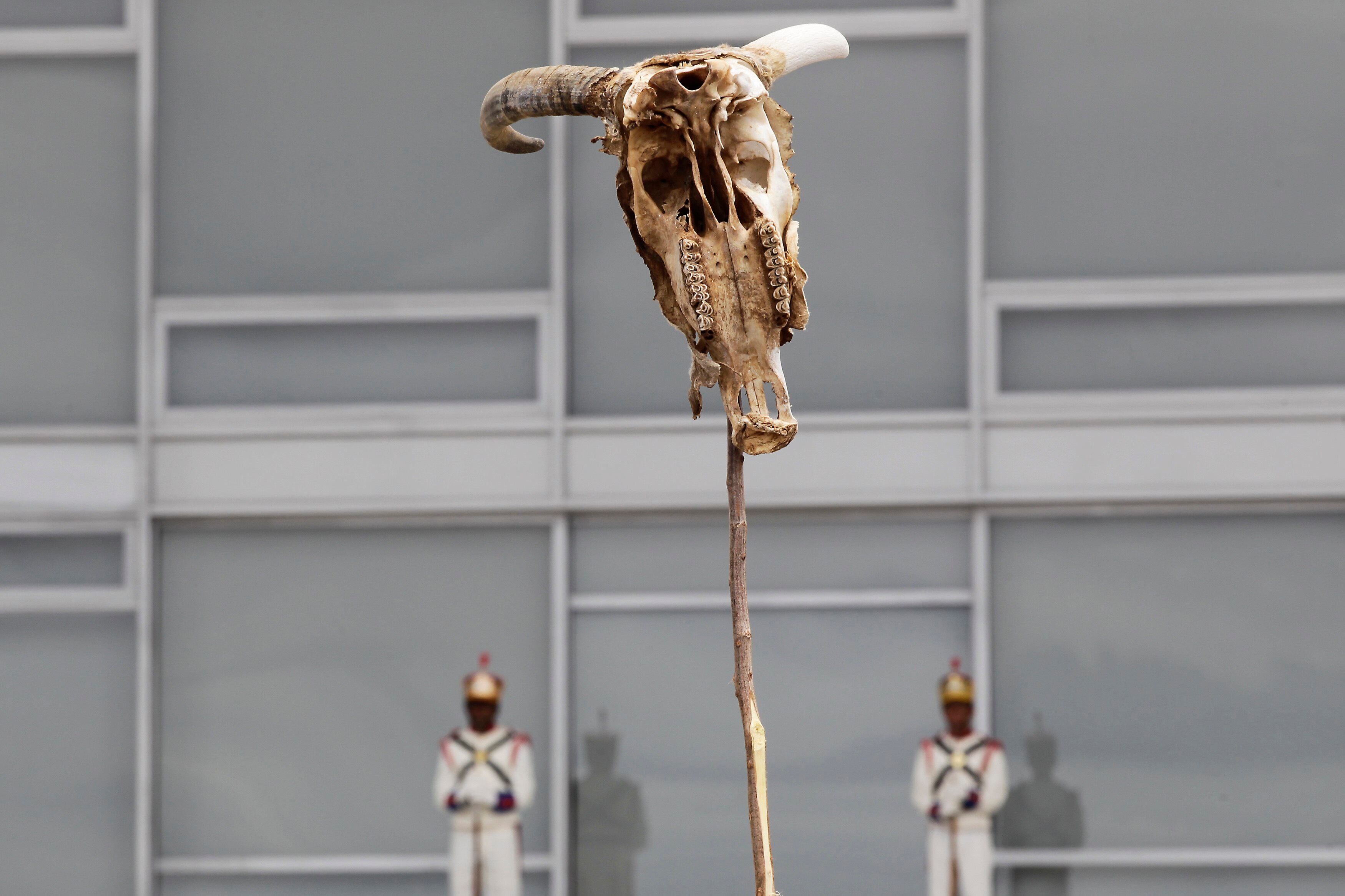 Agricultores nordestinos exibem crânios de gado em manifestação em frente ao Palácio do Planalto, em Brasília. Os manifestantes pedem ajuda do Governo para aliviar os efeitos da seca deste ano
