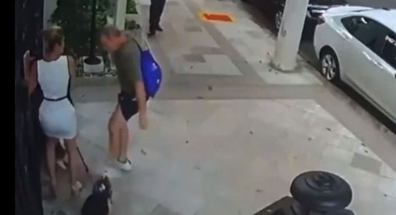 Agressão à irmã de Zanin e cachorros