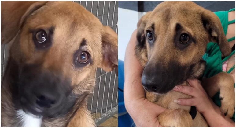 Juan foi abandonado quatro meses depois de ser adotado