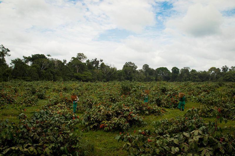 Recurso é complemento para a safra 2020/2021