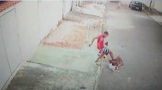 Criança foi atacada por pitbull na zona norte