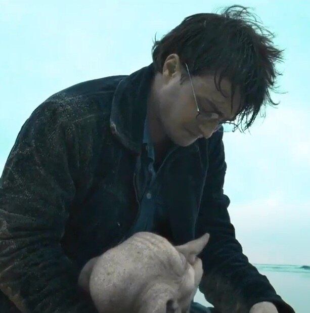 No entanto, faltam elementos que deixem a obra mais memorável e interessante. Ocupa essa posição mais pela qualidade e pelo carisma de boa parte dos outros filmes.