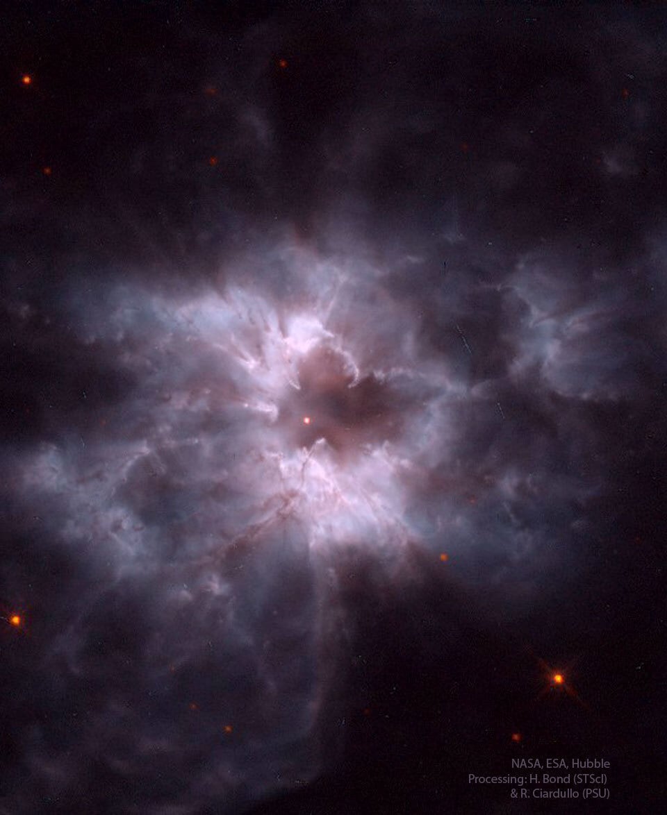 A nebulosa planetária conhecida como NGC 2440 contém uma das estrelas anãs brancas mais quentes já estudadas e ela pode ser vista bem ao centro da imagem. Uma curiosidade é que o nosso Sol também se tornará uma anã branca, devido ao seu tamanho, mas apenas daqui a 5 bilhões de anos