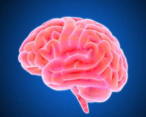 O acidente vascular cerebral ocorre quando o sangue não chega ao cérebro