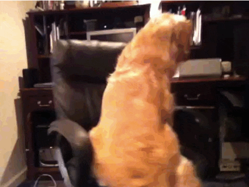 Enquanto a reunião não começa, você tem que lidar com o tédio e faz de tudo para passar o tempo