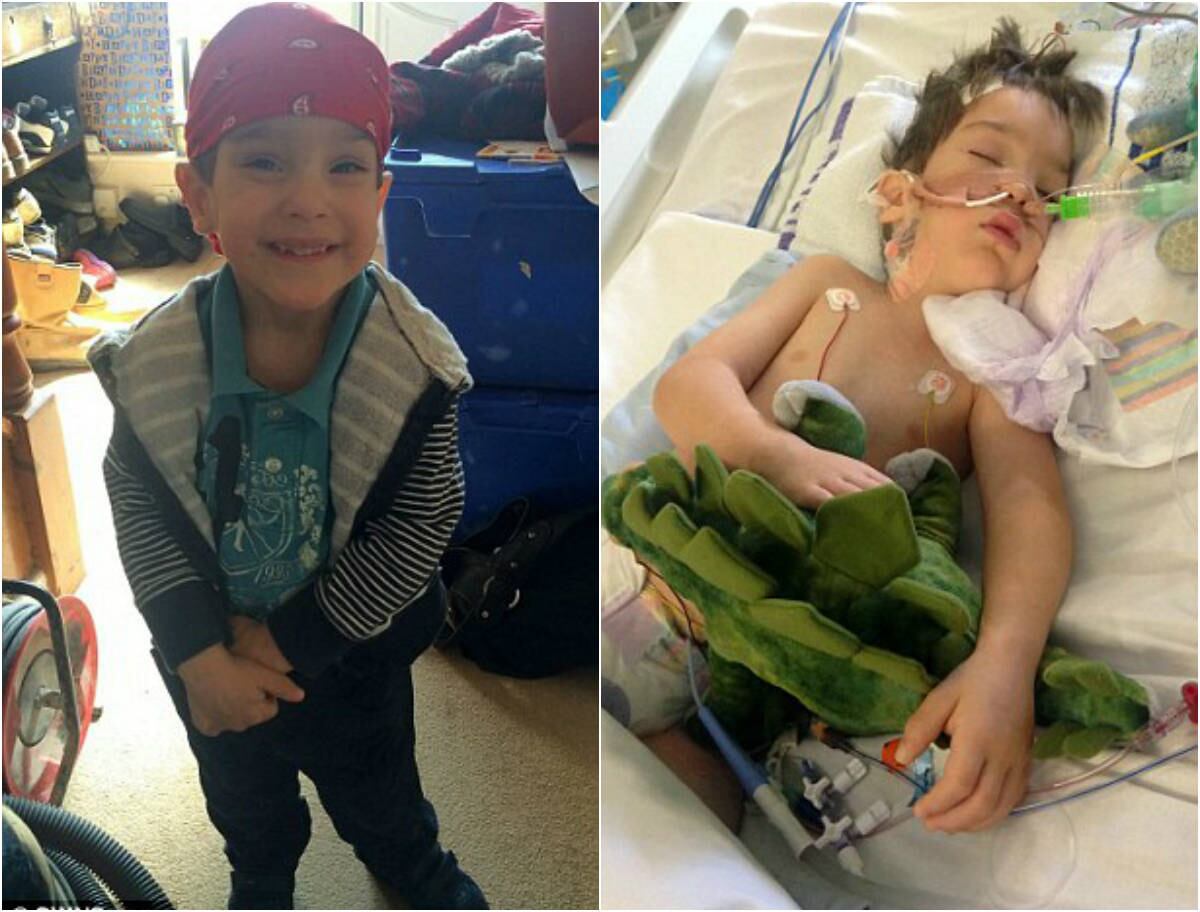 Um menino de três anos de idade ficou paralisado e só consegue se comunicar piscando seu olho depois que um acidente o deixou com graves danos cerebrais. Dylan Woodley estava comendo um sanduíche de presunto quando engasgou com um pedaço do lanche, que ficou preso em sua garganta. Sua mãe Ally Wheatley, tentou desesperadamente fazê-lo cuspir a comida, mas ele sofreu um ataque cardíaco em seus braços. Veja mais imagens 
