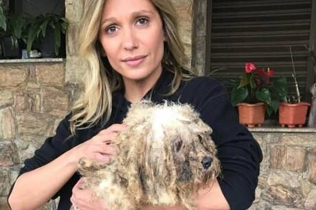 Luisa Mell segura um dos cães resgatados nesta sexta-feira (29)