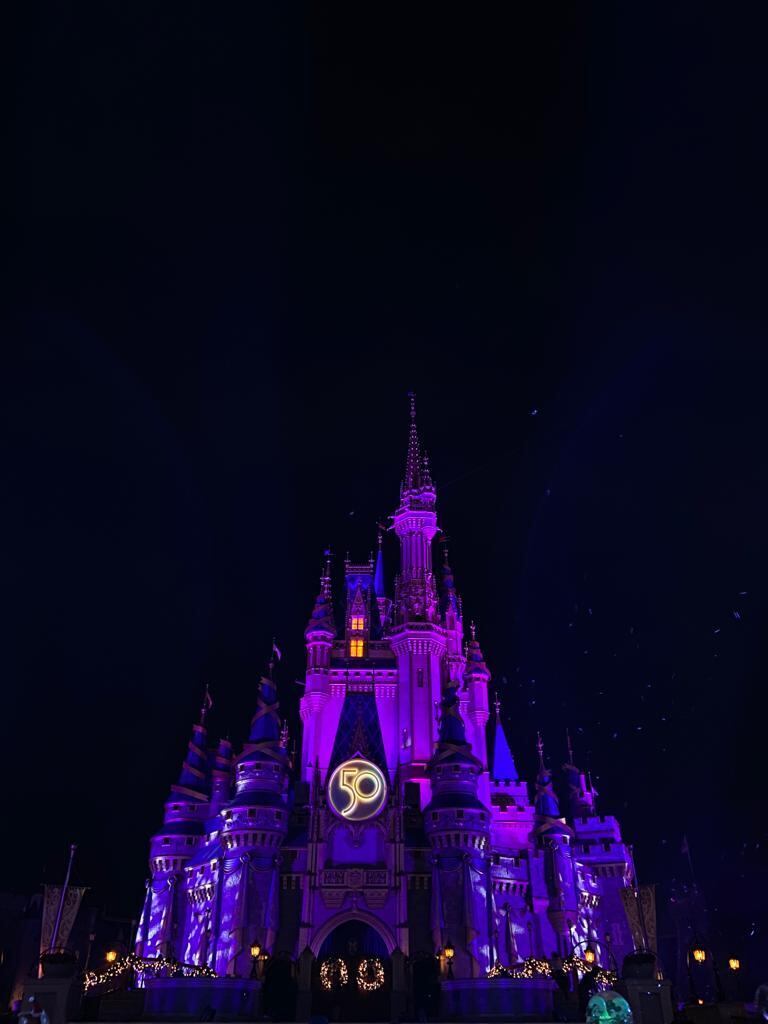 A melhor solução para os brasileiros seria a abertura de um parque temático da Disney no Brasil, já que há dois nos Estados Unidos, um na China, um no Japão, e outro na França. A unidade mais conhecida é a de Orlando, na Flórida (EUA), mas em território americano, a Disney também está presente na Califórnia. 