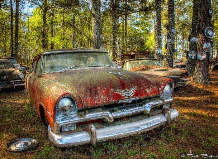 Apesar de ser um ferro-velho, o local é bem bonito