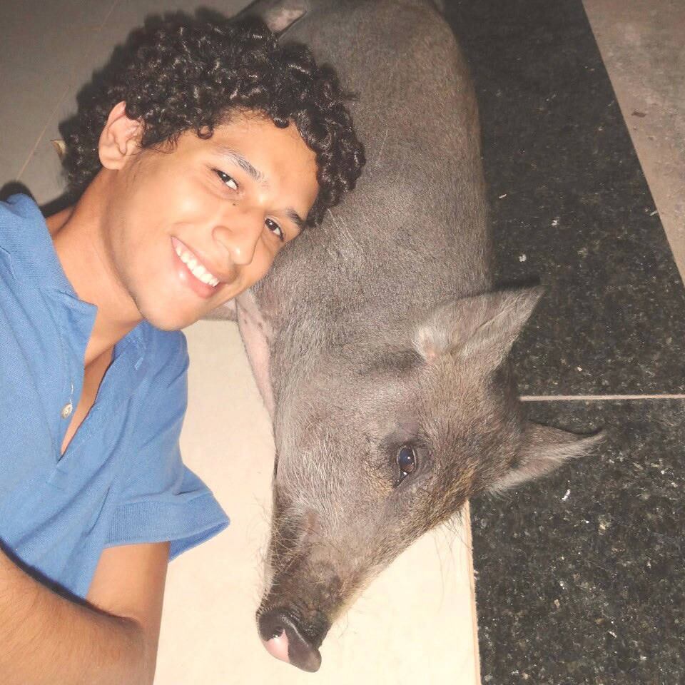 O nome do bicho de estimação não foi por acaso. A porca foi comprada por R$ 70 em uma fazenda em Ravena, na região metropolitana de BH, onde seria abatida, como conta o estudante.

— Gabriela, ou Gabi para os íntimos. Quando fui buscá-l,a ela estava em um chiqueirinho e dei banho nela. Eu estava vendo no Youtube a cena da mini série Gabriela e a situação foi muito parecida. O Nacib a resgata e dá um banho na personagem.