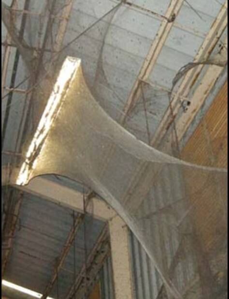 A partir dos relatos dos que estiveram no local, os pesos das teias eram tão elevados que danificaram a estrutura do prédio e parte da elétrica