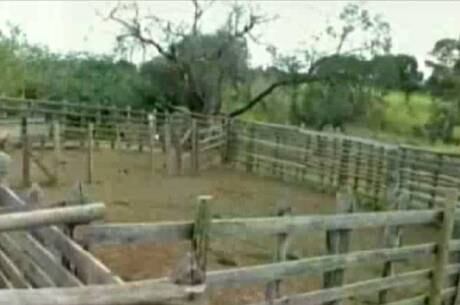 Durante a manhã o proprietário encontrou cadeados arrombados