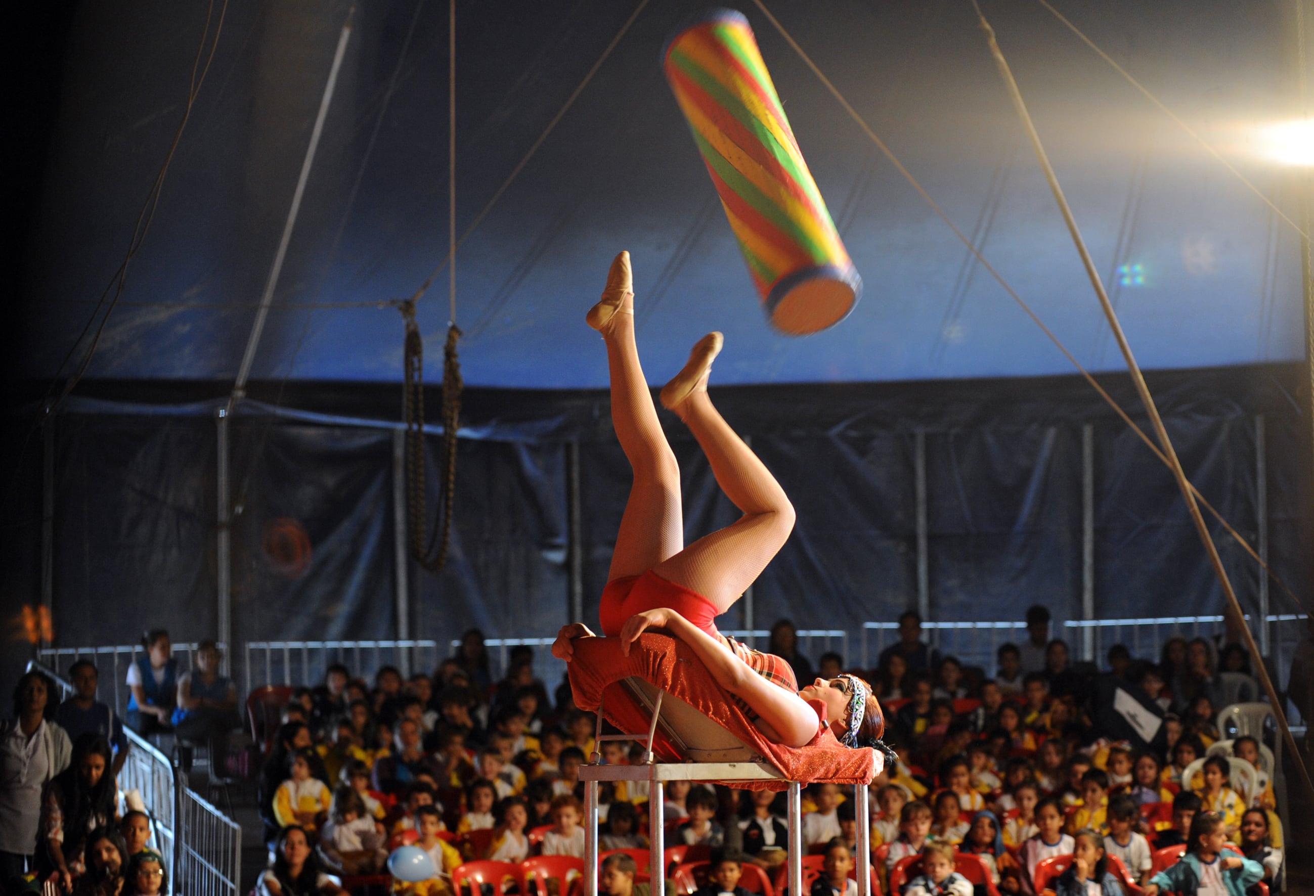O circo é um dos focos do ex-palhaço, que indicou ao
Ministro da Educação a apuração de dados
referentes às crianças de circo e respectivos educadores, além
da garantia de distribuição de material didático a esta clientela