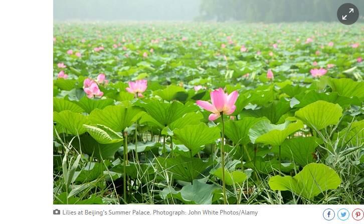 O Summer Palace destaca a área de Pequim