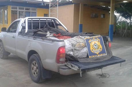 Carga de marisco apreendida