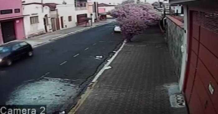 A menina estuda em uma escola longe de casa. Por isso, ela sai
bem cedo, sempre sozinha. Depois de caminhar por uns 20 minutos, a adolescente
pega um ônibus