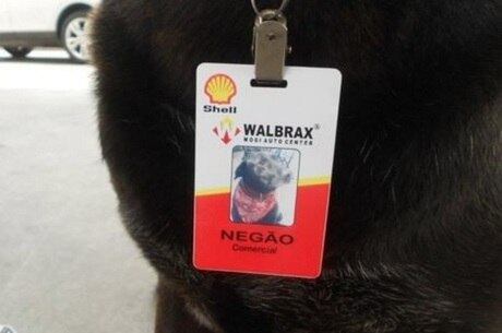 Negão já usou mais de 15 crachás, que adora devorar