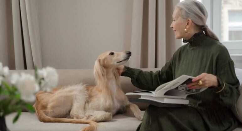 Estudo aponta que conversar com animais traz inteligência emocional para os humanos e beneficia os pets