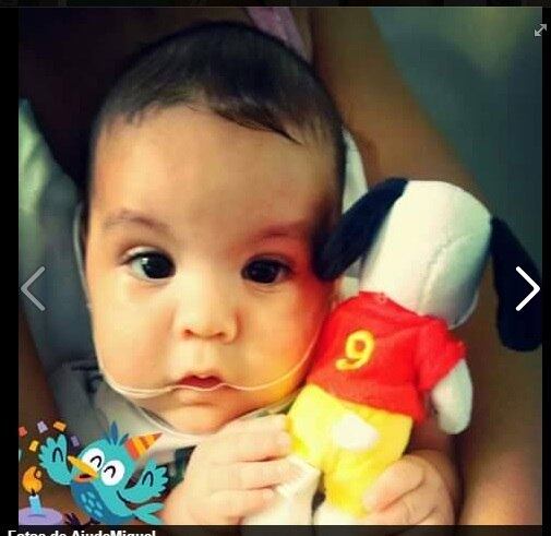 A mãe diz que vai fazer tudo o que puder para salvar a vida do
filho.

Vamos encarar o que for preciso para conseguir
esse tratamento. Muita gente no mundo está a fim de ajudar. Tenho muita
esperança de conseguir o dinheiro e salvar nosso pequeno Miguel