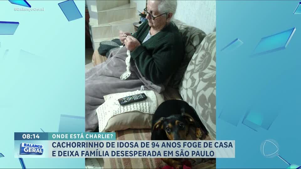 Idosa de 94 anos procura cachorro que fugiu de casa na zona leste de SP