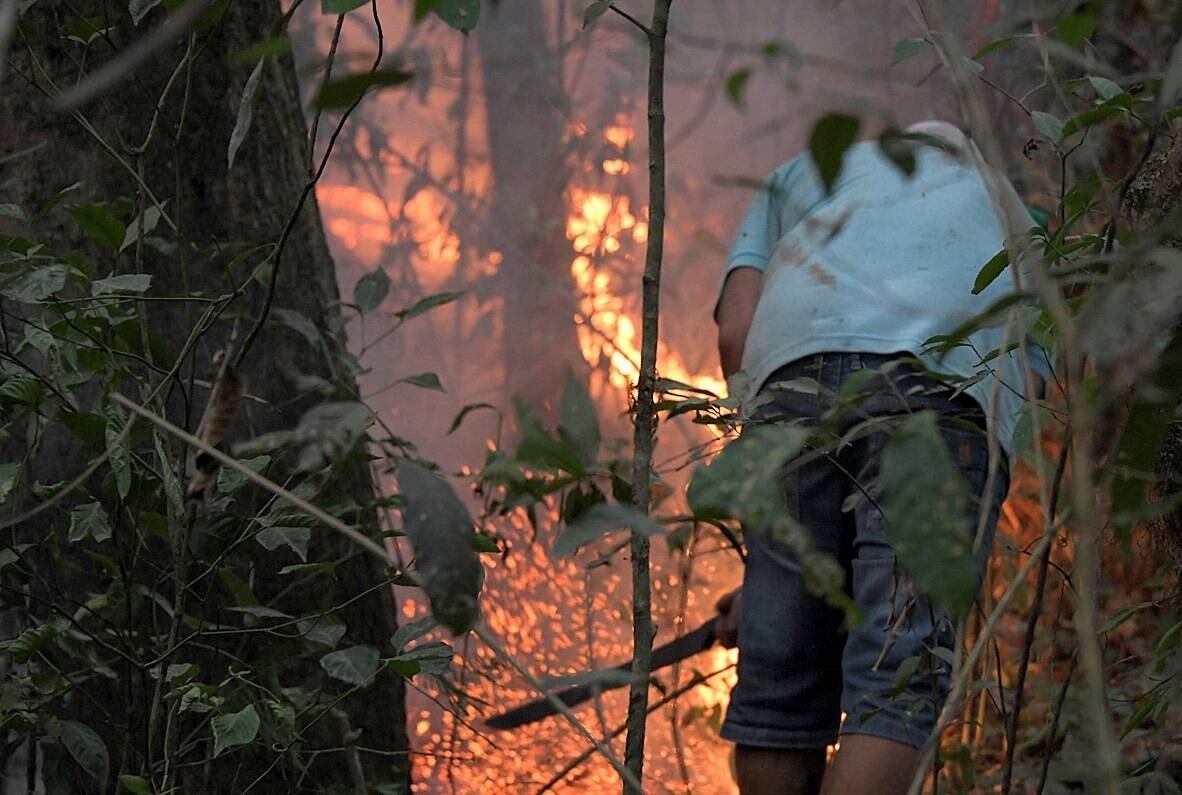 Queimadas no Pantanal batem recorde