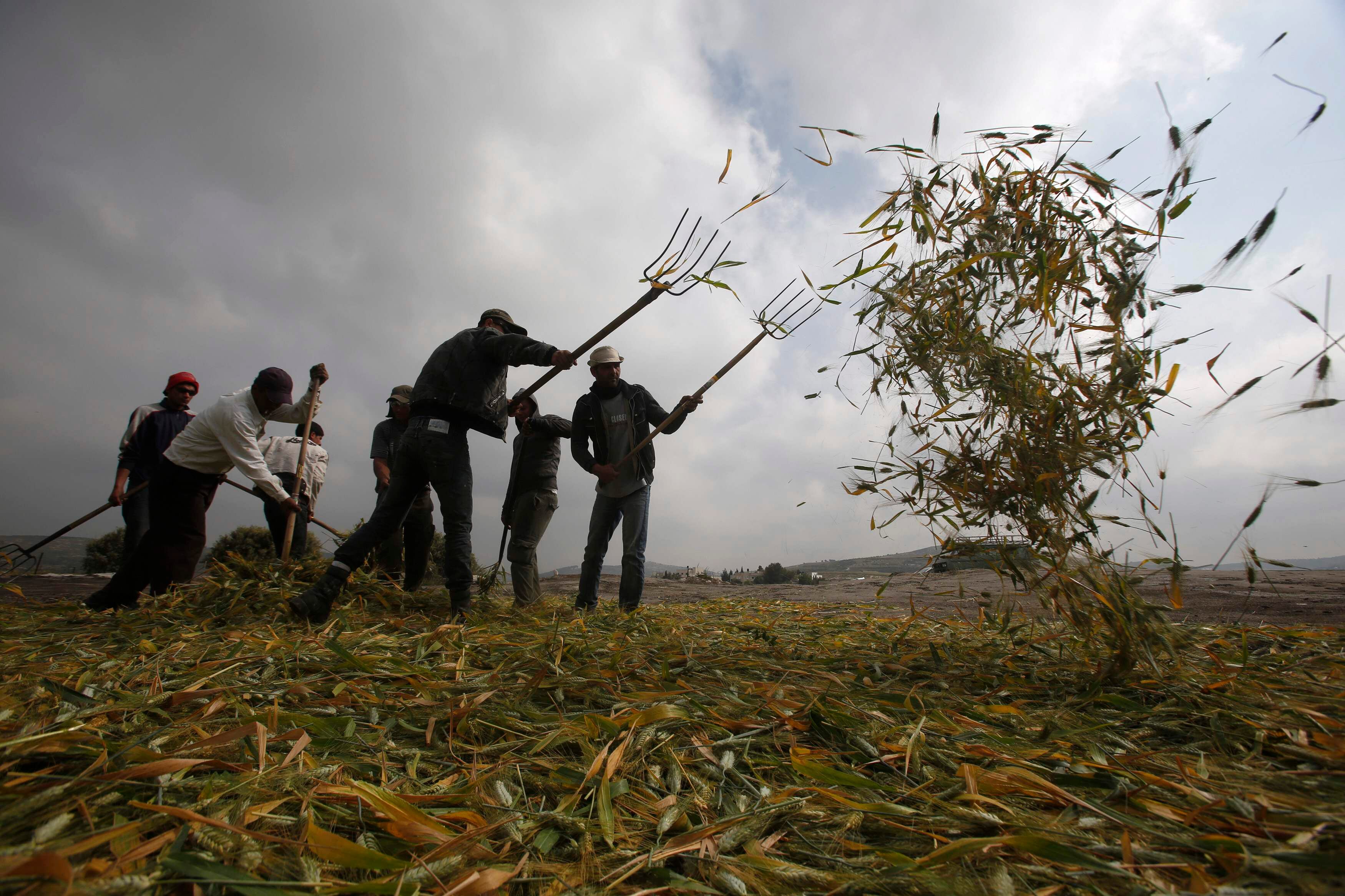 Ele criou leis como a Lei de Recuperação da Indústria Nacional, sem deixar de proteger os trabalhadores, com limites de produção, de carga horária e implantação da seguridade social. Tudo isso dentro do seu projeto denominado New Deal
