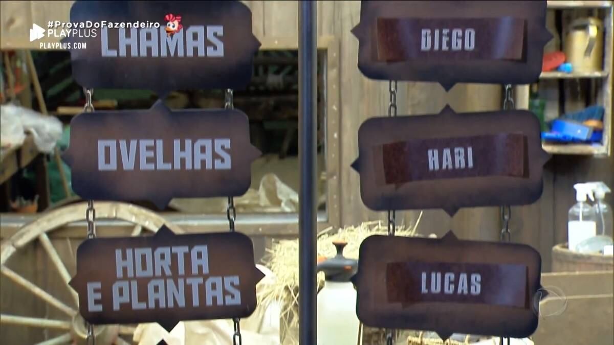 Já as lhamas serão cuidadas também por Diego Grossi. A tarefa com as ovelhas é de Hari Almeida e a horta e plantas também ficaram por conta de Lucas Viana