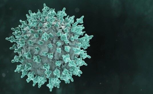 BH soma 1.698 mortes e 56.106 casos da covid-19