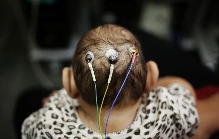 Os trabalhos foram coordenados pelo médico veterinário Ricardo Lourenço