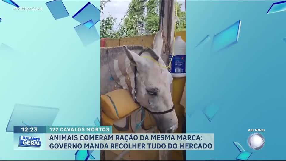 Autoridades investigam a morte de pelo menos 122 cavalos em quatro estados