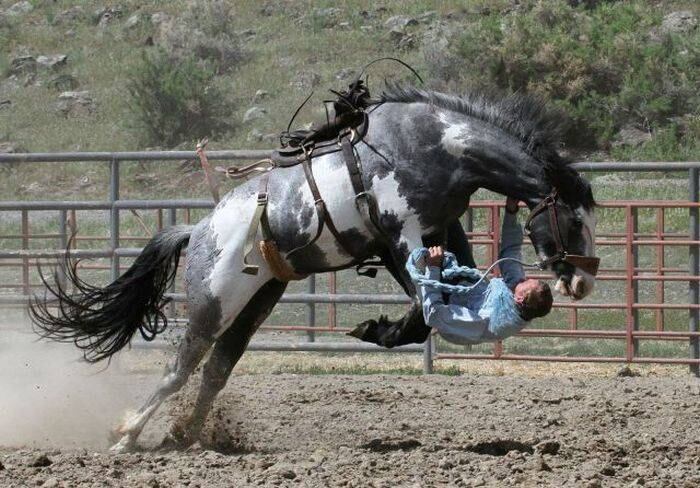 Mexe com o cavalo, mexe, cowboy!