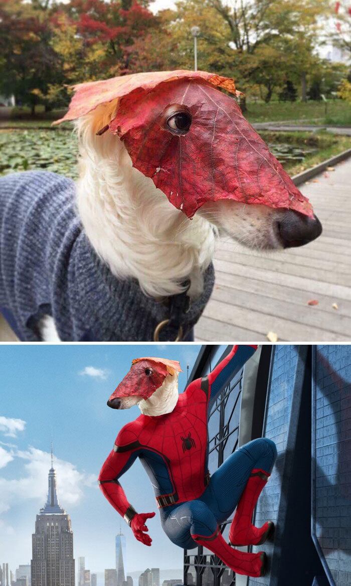... assim como personagens consagrados necessitam de atualizações de tempos em tempos