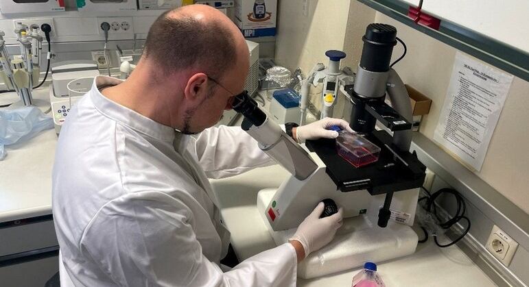 Em todo o mundo, já são mais de 900 casos confirmados de varíola do macaco