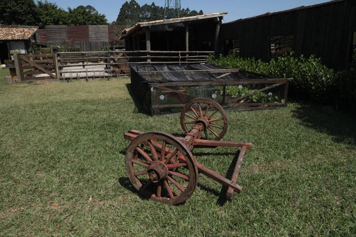 Com apenas cinco participantes na reta final do reality, as tarefas ficam mais complicadas por não haver tantas pessoas para realizá-las. Por isso, os peões precisam ajudar um ao outro para não ficar pesado para ninguém e cumprir todas as obrigações
Confira como foi a manhã de trabalho dos confinados desta quinta (5)