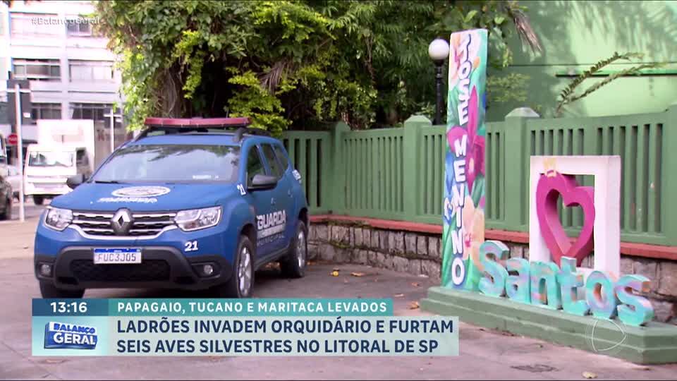 Ladrões invadem orquidário e roubam seis aves silvestres em Santos (SP)