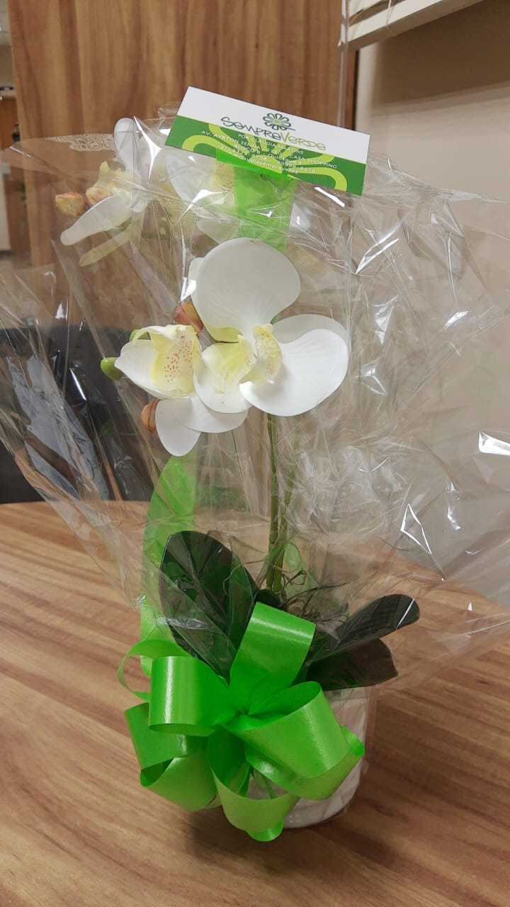 Time de RH da RecordTV Rio oferece flores no Dia das Mães