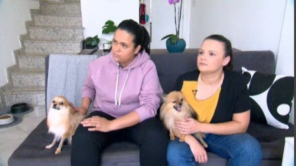 Marina Parreiras e Maiara Gomes perderam dois cães intoxicados com o anticongelante, monoetilenoglicol