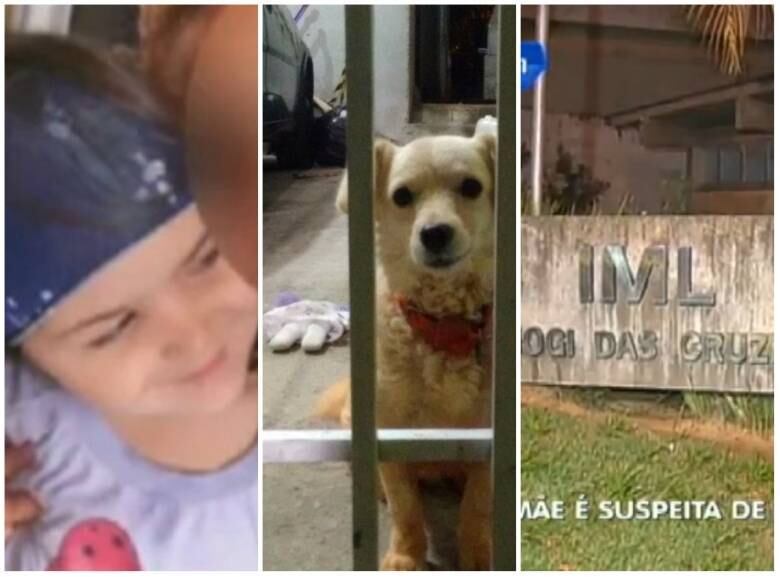 As duas irmãs, de cinco meses e cinco anos, encontradas mortas dentro de casa em Itaquaquecetuba, na região metropolitana de São Paulo, tinham marcas no pescoço, o que indicaria esganamento. A informação foi passada pela Polícia Civil da cidade. No entanto, a polícia aguarda os laudos para saber exatamente a causa da morte das crianças. A mãe é a principal suspeita do crime e está desaparecida. Assista ao vídeo