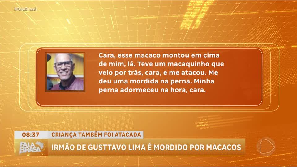 Macacos atacam irmão de cantor Gusttavo Lima em parque de Goiânia