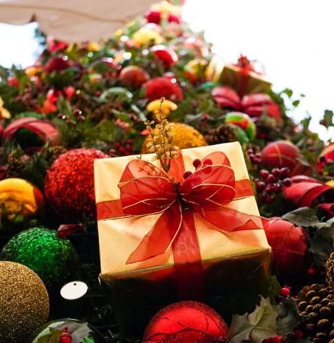 Já o Shopping Eldorado também está com a decoração de Natal aberta para o público com o tema ´Boulevard de Natal´. A árvore de Natal pode ser vista de diversos andares com seus 11 metros. Do lado de fora, tem três decorações para tirar fotos: um balão de nove metros, cheio de luzes de led douradas e vermelhas, onde as pessoas podem acessar a parte interna e fazer fotos; uma bota enorme do Noel, toda iluminada e cheia de presentes; e mais uma árvore artística e moderna