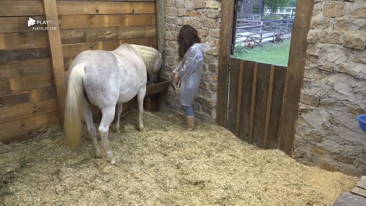 Mendigata cuida de cavalo