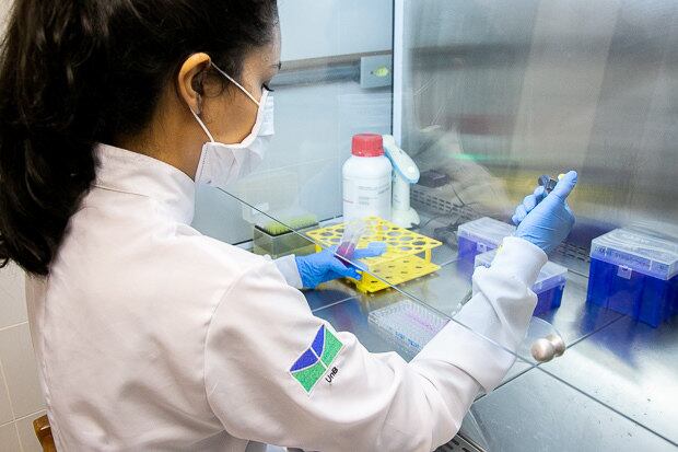 O laboratório já pesquisava os benefícios do ômega 3 e sua ação contra o câncer
